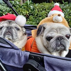 445位のイメージ