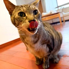 88位のイメージ