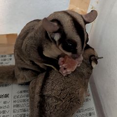 13位のイメージ