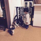 20位のイメージ