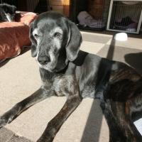 12位のイメージ