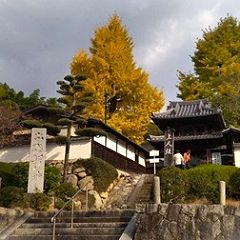 106位のイメージ