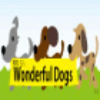 17位のイメージ