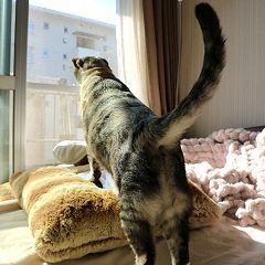 274位のイメージ