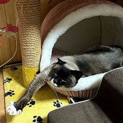 127位のイメージ