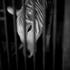 122位のイメージ