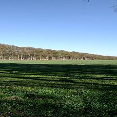 72位のイメージ