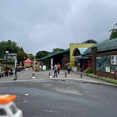 109位のイメージ