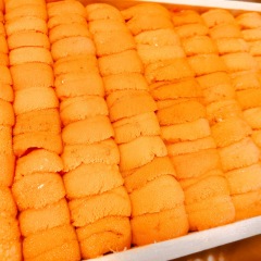 244位のイメージ