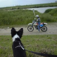 673位のイメージ