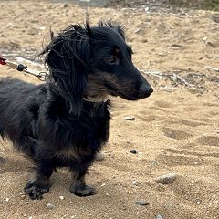 94位のイメージ