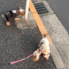 93位のイメージ