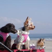 142位のイメージ