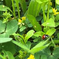 2402位のイメージ