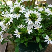 178位のイメージ