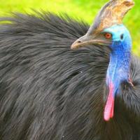 148位のイメージ