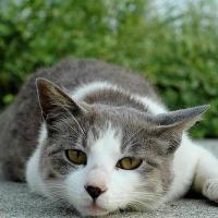 47722位のイメージ