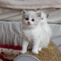 185位のイメージ