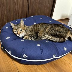 427位のイメージ