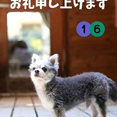 15位のイメージ