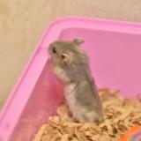 2430位のイメージ