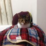 1489位のイメージ