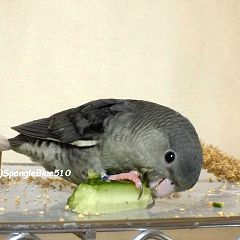 35位のイメージ