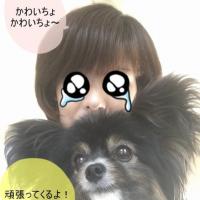 15位のイメージ