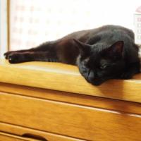 17444位のイメージ