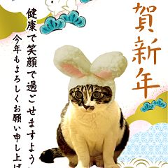 935位のイメージ