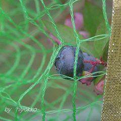 49位のイメージ