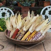 17411位のイメージ