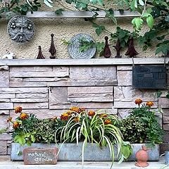 295位のイメージ