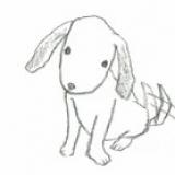 95位のイメージ