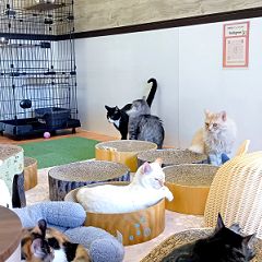 91位のイメージ