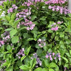 71位のイメージ