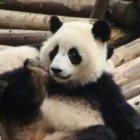 83位のイメージ