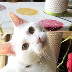 110位のイメージ