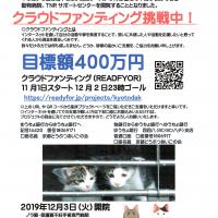 97位のイメージ