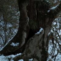 13473位のイメージ