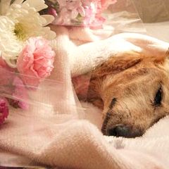 18位のイメージ