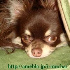 94位のイメージ