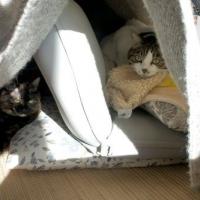 82位のイメージ