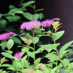 80位のイメージ