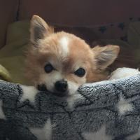 2630位のイメージ