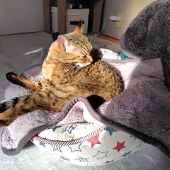 50位のイメージ