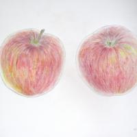 1897位のイメージ