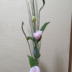 24位のイメージ