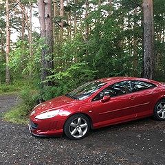 49位のイメージ