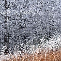 13位のイメージ